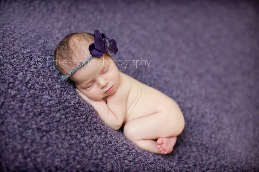  Newborn Posing Tips 